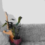 Do not forget to set image alt text!